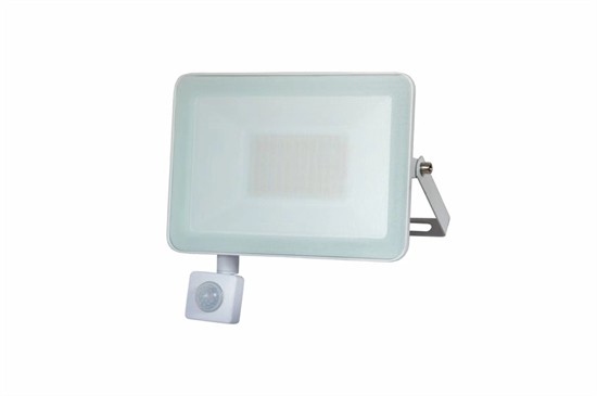 IR Sensor Thin Pad LED Flood Lamp